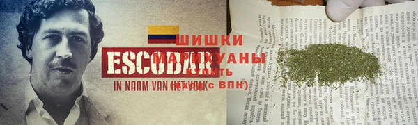 ПСИЛОЦИБИНОВЫЕ ГРИБЫ Армянск