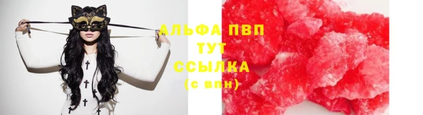 кокс Арсеньев