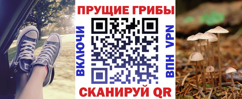 мега сайт  Ярцево  Галлюциногенные грибы GOLDEN TEACHER 