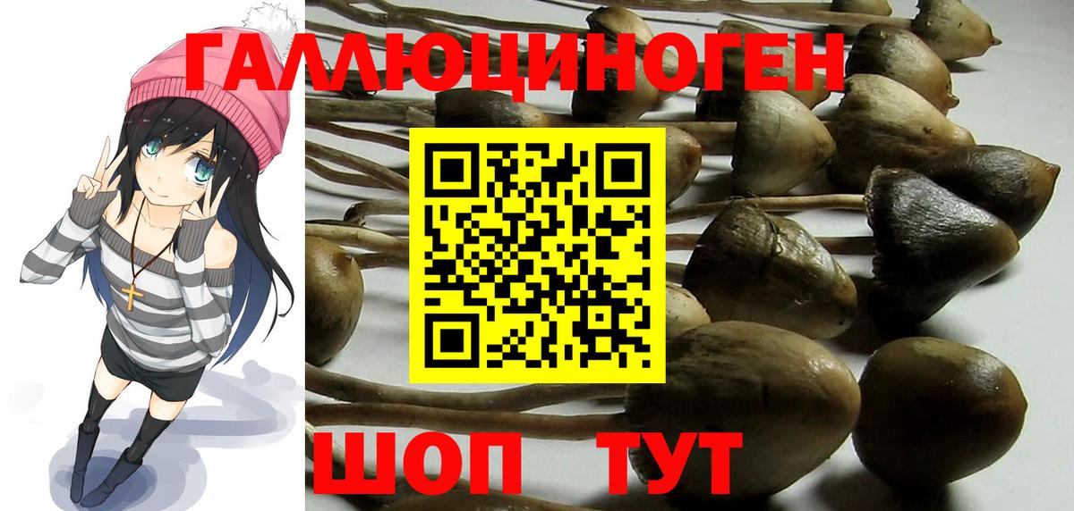 Галлюциногенные грибы мицелий  Галлюциногенные грибы Cubensis  Ярцево  Вход с VPN 